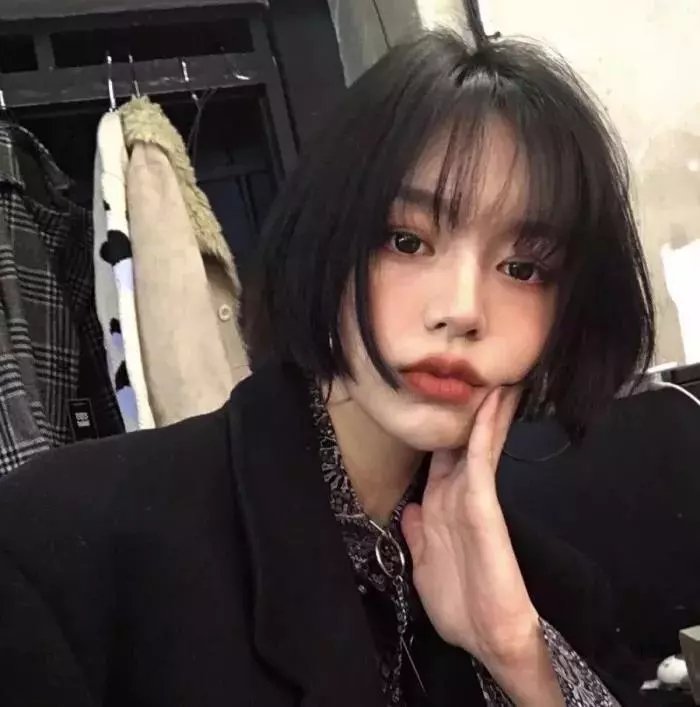 我的“狐朋狗友”